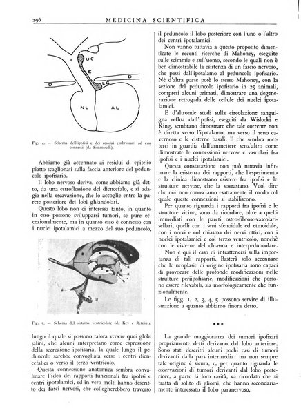 Athena rassegna mensile di biologia, clinica e terapia