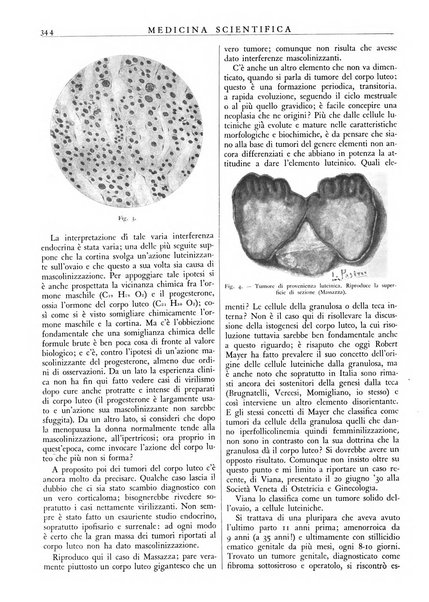 Athena rassegna mensile di biologia, clinica e terapia