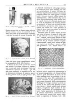 giornale/TO00177347/1939/unico/00000385