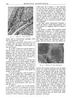 giornale/TO00177347/1939/unico/00000386