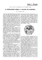 giornale/TO00177347/1942/unico/00000041