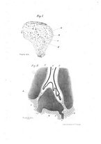 giornale/TO00177544/1880/v.3/00000021