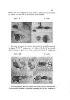 giornale/TO00177544/1908/v.20/00000041