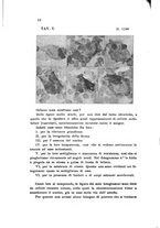 giornale/TO00177544/1908/v.20/00000044