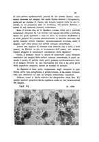 giornale/TO00177544/1908/v.20/00000045