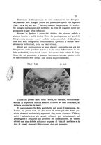 giornale/TO00177544/1908/v.20/00000047
