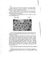 giornale/TO00177544/1908/v.20/00000048