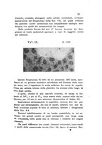 giornale/TO00177544/1908/v.20/00000049