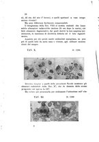giornale/TO00177544/1908/v.20/00000050