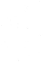giornale/TO00177544/1908/v.20/00000094