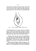 giornale/TO00177570/1932/v.21/00000075