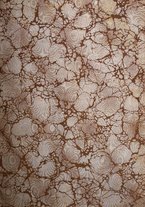 giornale/TO00177616/1908/v.2/00000003