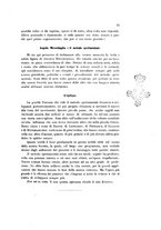 giornale/TO00177616/1908/v.2/00000071