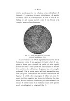 giornale/TO00177621/1913/v.2/00000032