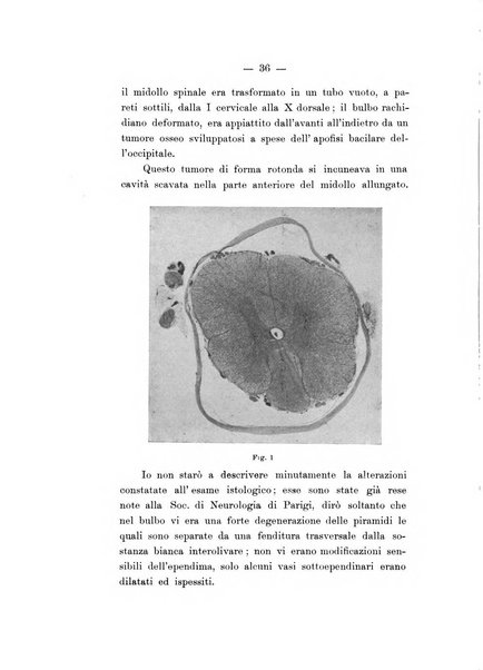 Atti della Societa lombarda di scienze mediche e biologiche