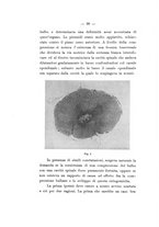 giornale/TO00177621/1913/v.2/00000044