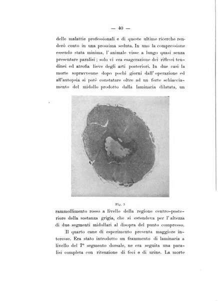 Atti della Societa lombarda di scienze mediche e biologiche