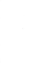 giornale/TO00177621/1916/v.5/00000093