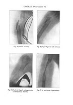 giornale/TO00177621/1919/v.8/00000039