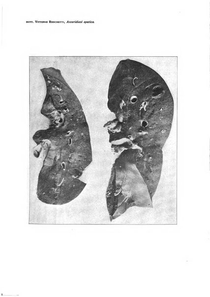 Atti della Societa lombarda di scienze mediche e biologiche