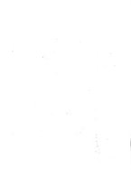 giornale/TO00177621/1920/v.9/00000048