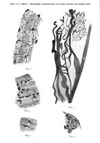 giornale/TO00177621/1924/v.13/00000073