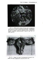 giornale/TO00177621/1924/v.13/00000093