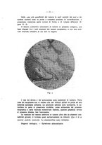 giornale/TO00177621/1928/v.17/00000039