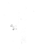 giornale/TO00177671/1896/v.2/00000032