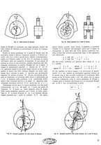 giornale/TO00177781/1943/unico/00000223