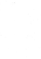 giornale/TO00177988/1875/unico/00000003