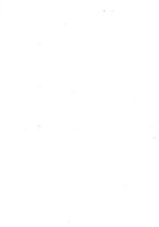 giornale/TO00177988/1875/unico/00000004