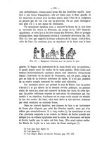 giornale/TO00178193/1902/v.1/00000336