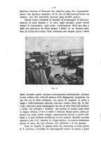 giornale/TO00178193/1905-1906/unico/00000096