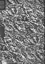 giornale/TO00178245/1936/unico/00000002