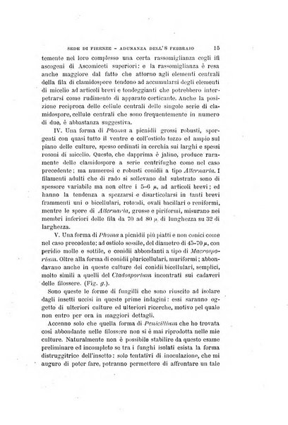 Bullettino della Società botanica italiana