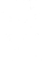 giornale/TO00178463/1925/v.14.2/00000002
