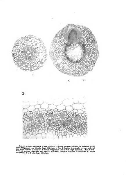 Bios rivista di biologia sperimentale e generale