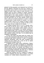giornale/TO00178502/1913/unico/00000197