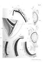 giornale/TO00178502/1914-1915/unico/00000029