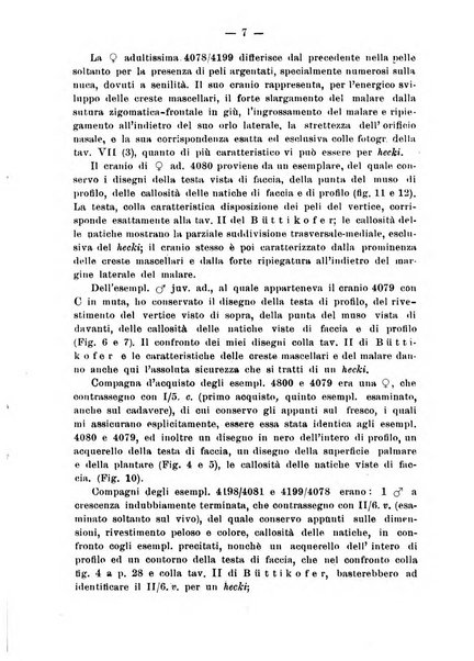 Bollettino dei Musei di zoologia e anatomia comparata della R. Università di Genova