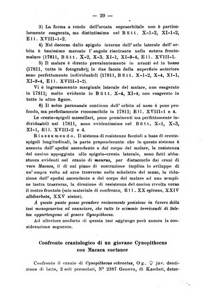 Bollettino dei Musei di zoologia e anatomia comparata della R. Università di Genova