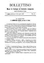 giornale/TO00178822/1887/v.2/00000021