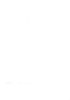 giornale/TO00178822/1908/v.23/00000035