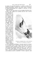 giornale/TO00178842/1904-1905/unico/00000339