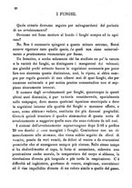 giornale/TO00178884/1884/unico/00000030