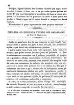 giornale/TO00178884/1884/unico/00000046