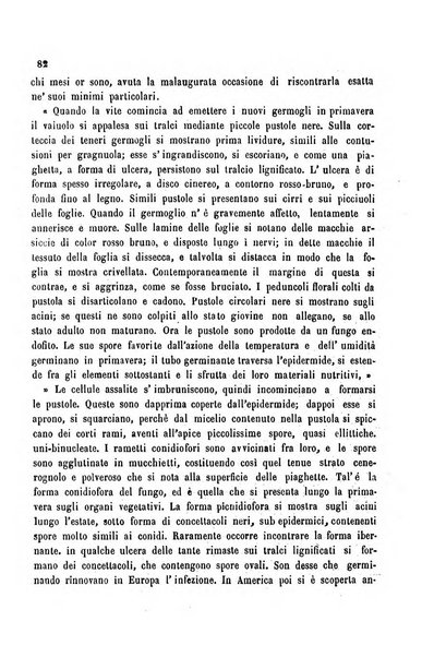 Bollettino del Comizio agrario del circondario di Alessandria