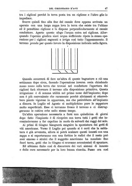 Bollettino del Comizio agrario del circondario d'Asti