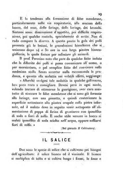 Bollettino del Comizio agrario ossolano